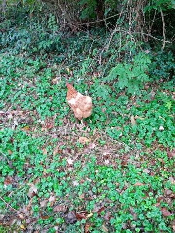 A Little Local Exploration!