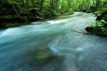 Water Fast Update Days 6 & 7